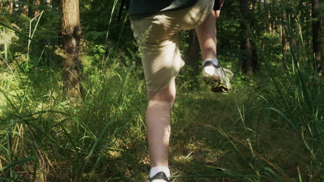 boy walking in the forest