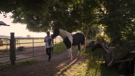 abrazar la serenidad como una anciana cuida a su preciado caballo en el patio pacífico