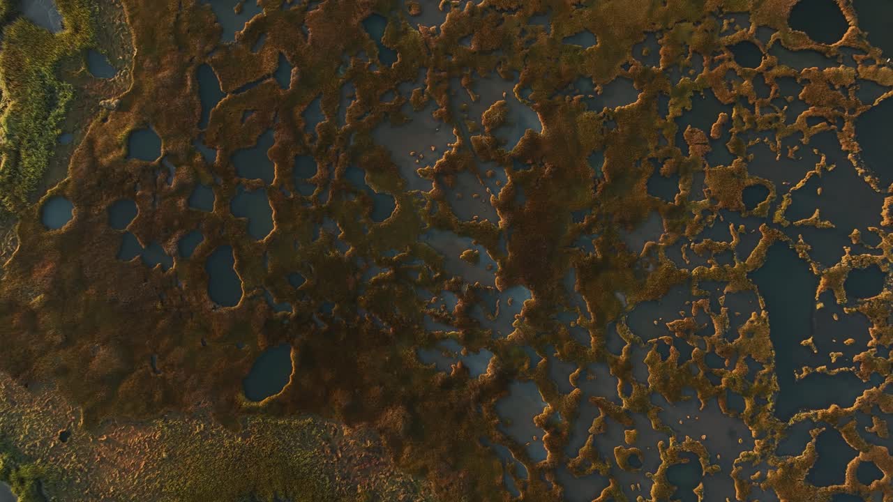 A salt marsh with ponds and vegetation at sunrise on cape cod, massachusetts, aerial view