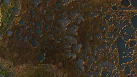 a salt marsh with ponds and vegetation at sunrise on cape cod, massachusetts, aerial view