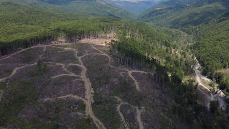 aerial: deforestation at hill forest in romania, central europe - drone tilt down shot