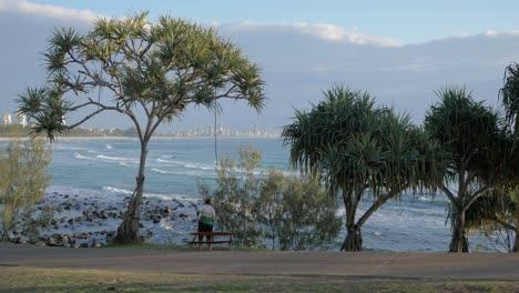 男人坐在长凳上与潘达努斯树 - 伯利山与伯利头石池 - 黄金海岸,qld,澳大利亚