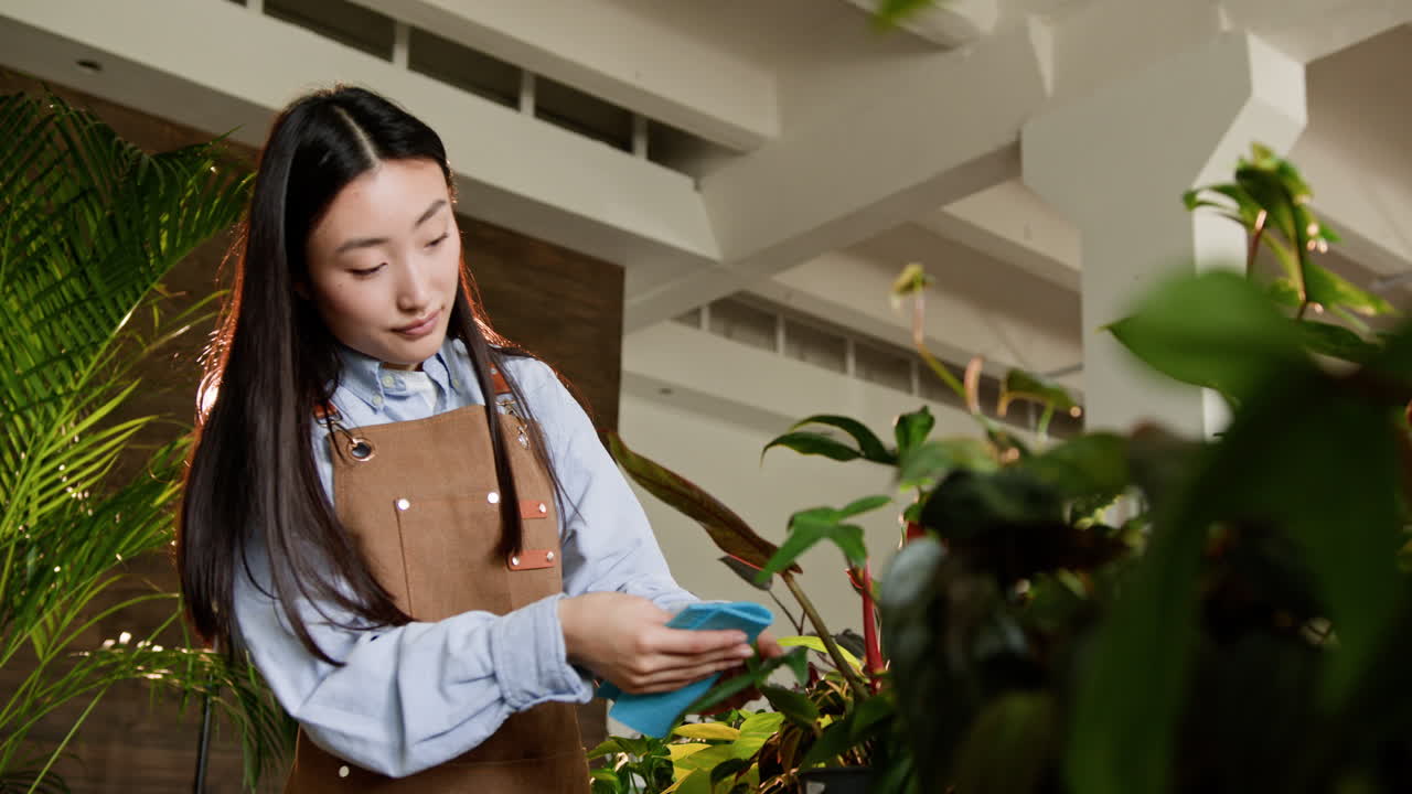 온실 에서 식물 을 청소 하는 여자