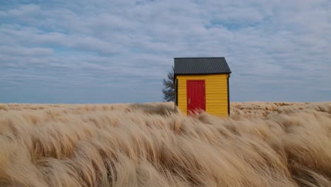 small yellow and red wooden cabin standing alone in the middle of a large field of dry grass moved by the wind under a cloudy sky on a sunny day