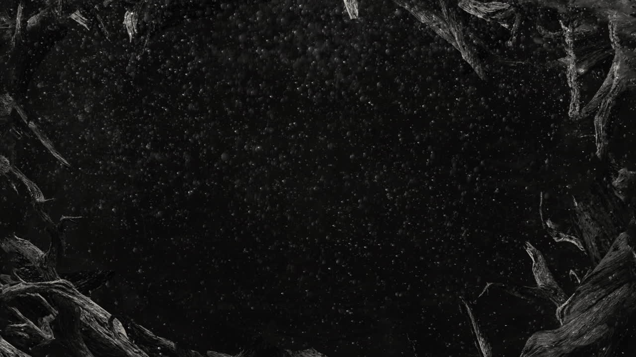 nieve animada sobre fondo oscuro con árboles que rodean el borde del marco