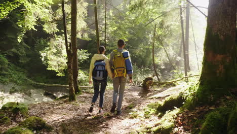 a young couple walks along a scenic path in the woods