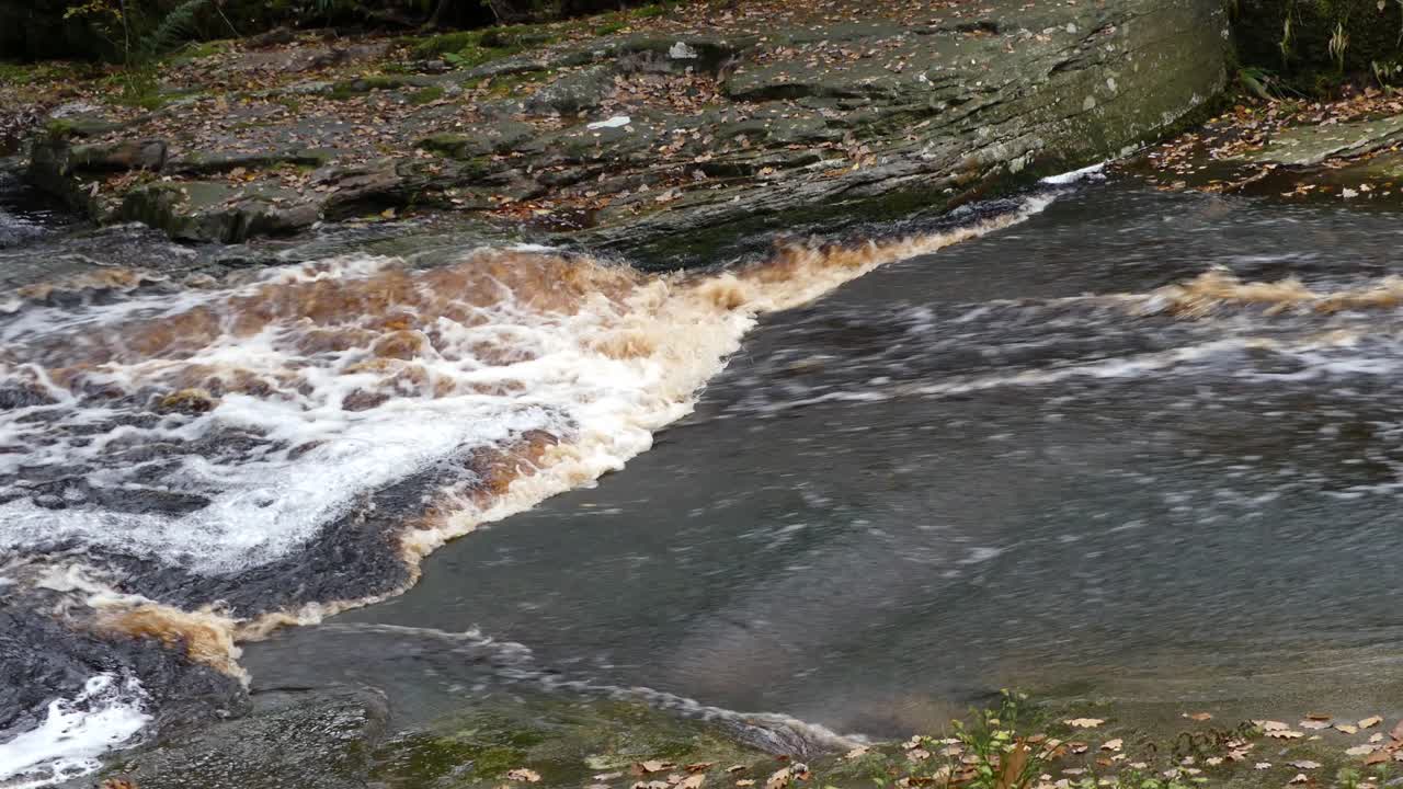 평화로운 가을-겨울 숲, 천천히 흐르는 하천이 바위 위로 아져 작은 폭포를 형성합니다.