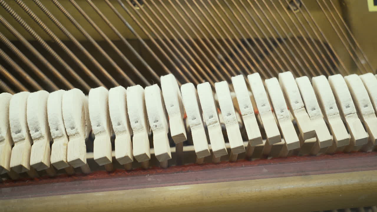 Piano. Principles of the work of musical instruments.