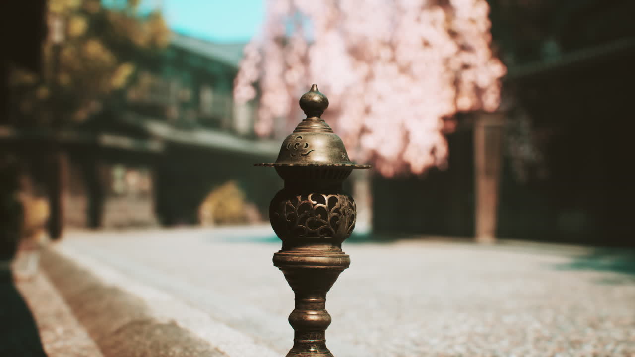 체리 꽃 이 있는 일본 정원 의 청동 등불