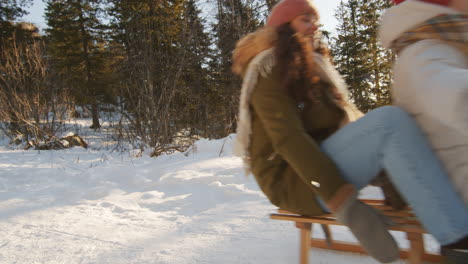 friends sledding in winter forest