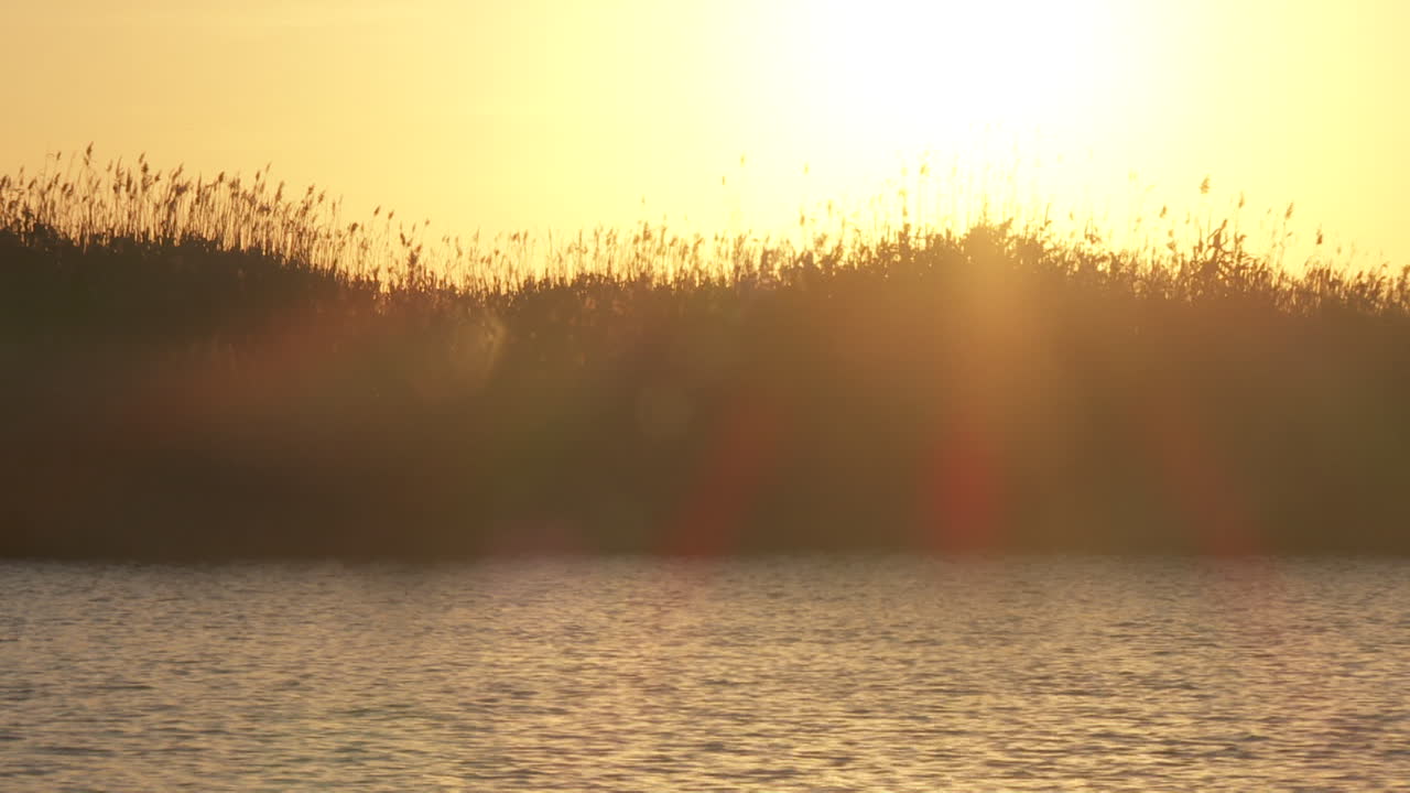 закат над болотом