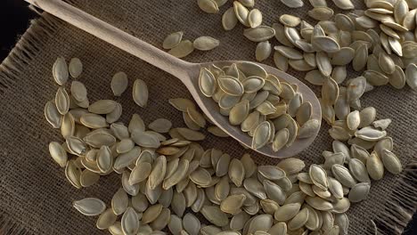 pumpkin seeds close up.