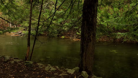 a-picturesque-slow-flowing-river-through-a-verdant-forest