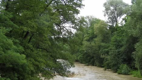 Río-Agitado-Tomando-Su-Camino-A-Través-De-Los-árboles,-Después-De-Una-Poderosa-Tormenta