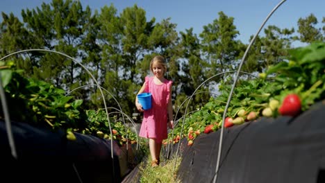 Mädchen-Gehen-Erdbeeren-Auf-Dem-Bauernhof-Spazieren-4k