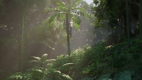 sunlight streaming through a lush jungle