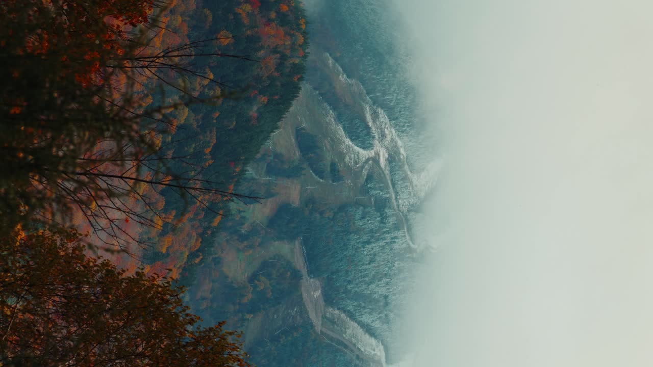 bosque de montaña brumoso en otoño