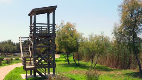 Gimbal-Kranschuss,-Der-An-Einem-Sonnigen-Tag-Im-Park-Zu-Einem-Hölzernen-Turmbaumstand-Mit-Aussichtspunkt-Geht