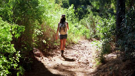 Vista-Trasera-De-Una-Mujer-Con-Mochila-Caminando-En-El-Parque.