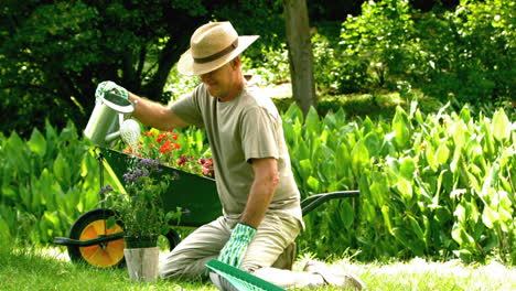 un hombre jubilado regando su planta.