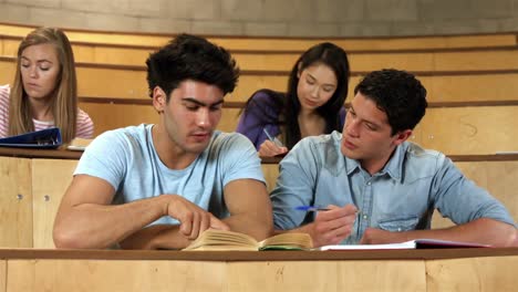 dos estudiantes varones trabajando juntos
