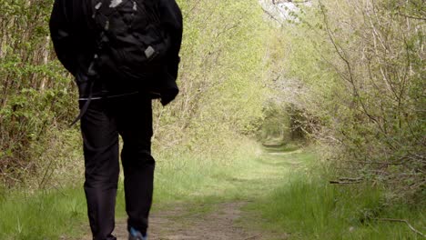 Antigua-Pista-De-Paseo-Por-El-Bosque-Con-Una-Persona-Caminando