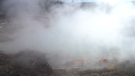 hot spring mineral water and steam above natural pool in yellowstone national park, wyoming usa, panorama