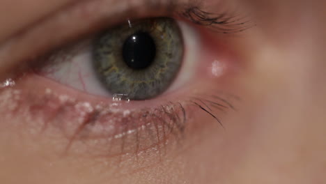 voa rápido hacia el ojo de la mujer
