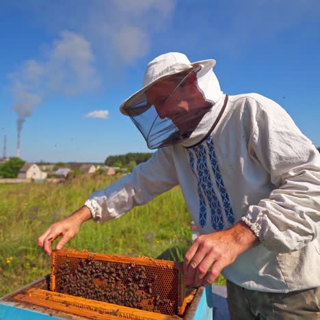 farmer working on apiary. beekeeper looking after bees on village background. smiling man in protective hat inspecting bees on a beehive.