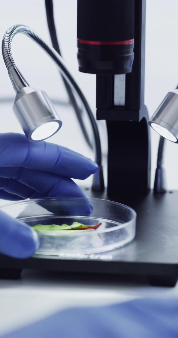 Scientist Examining Plant Leaf Sample Under Digital Microscope