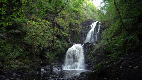 serene waterfall in lush forest