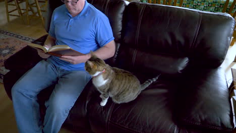 a man sits down to read a novel as his pet cat looks on