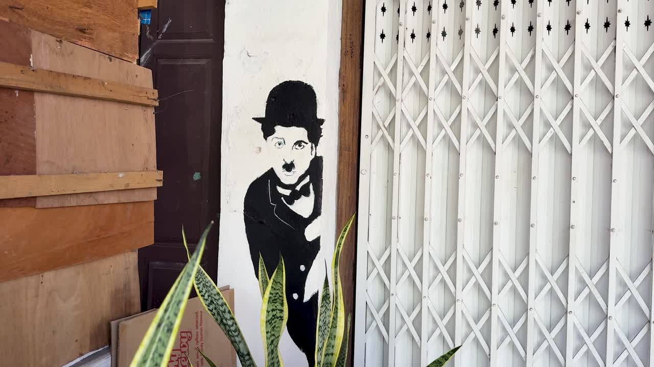 Daylight camera pan reveals street art figure, snake plant, and folding gate in urban setting