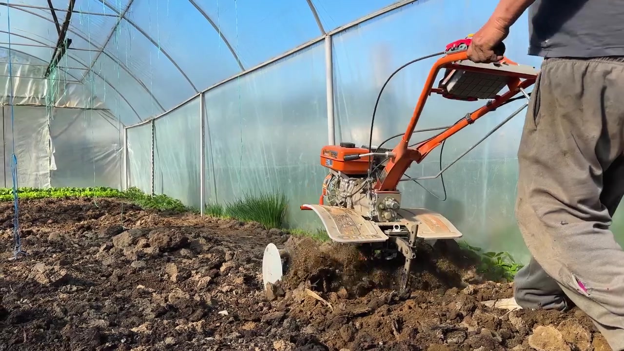 Motocultor trabajando la tierra dentro de un invernadero, formando surcos para la siembra y preparando el terreno para cultivos de hortalizas