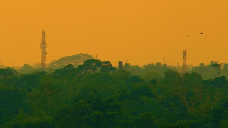 signal tower into rainforest against orange sky at sunset - low angle shot