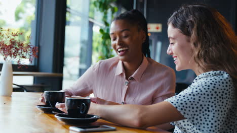 two young female friends meeting in coffee shop and looking at mobile phone