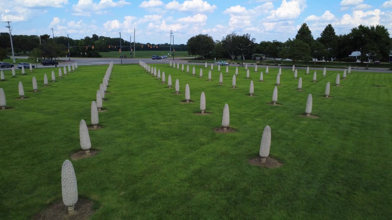 Field of Corn, installazione artistica a Dublino, Ohio, con spighe di mais in cemento di dimensioni giganti in un campo.