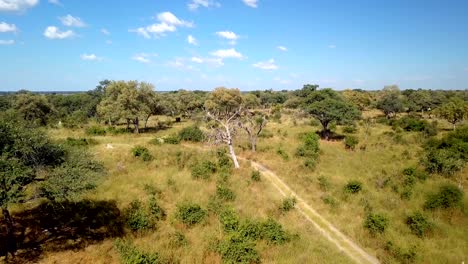 aerial african river landscape in nambwa namibia