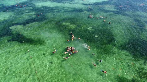 an aerial view of sea side beach where people are seen swimming