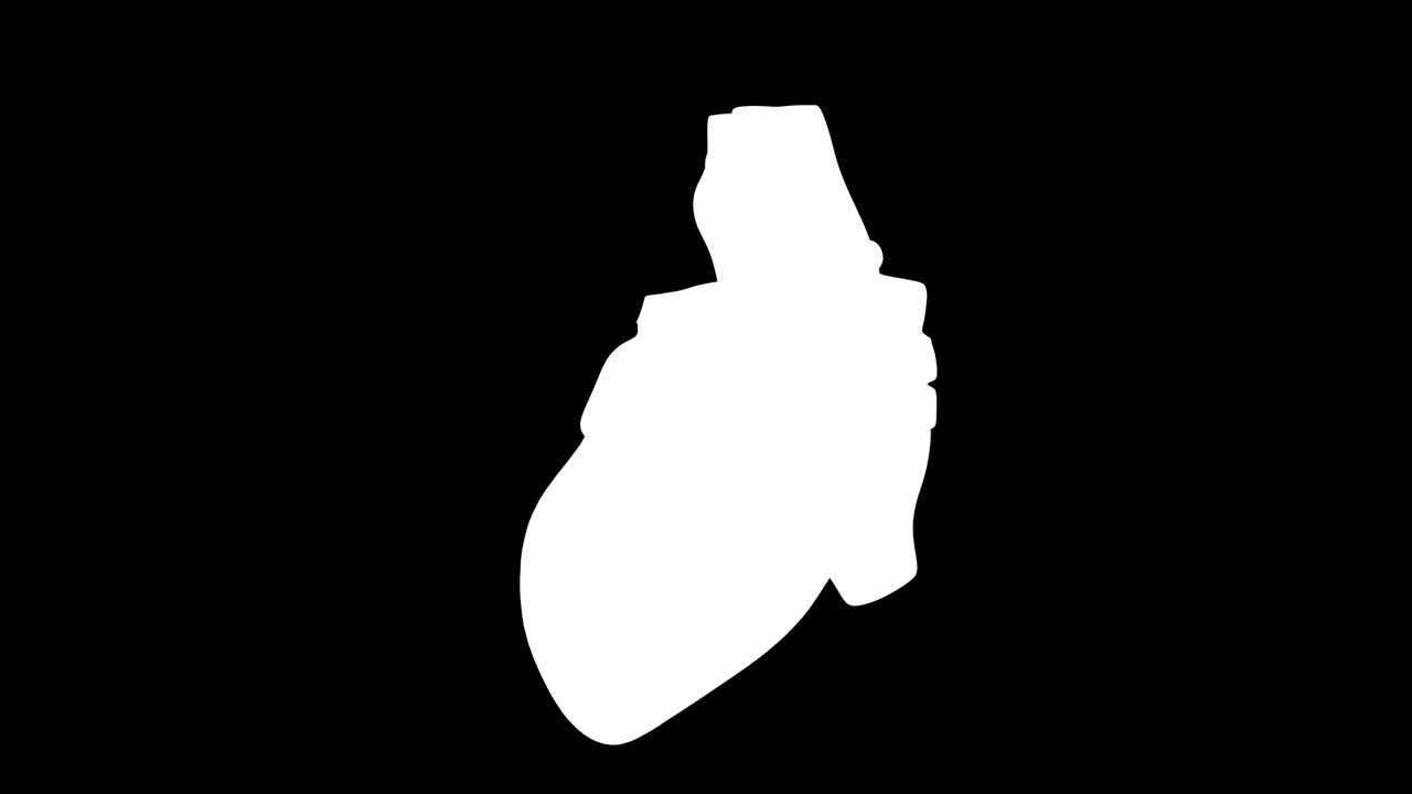 3d анимированное человеческое сердце