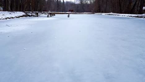 Frozen-lake-in-the-forest-cinematic-droneshot