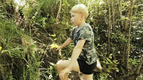 Ein-Junge,-Der-Im-Wald-Von-Mount-Thomas-Neuseeland-Spielt---Schwenkschuss