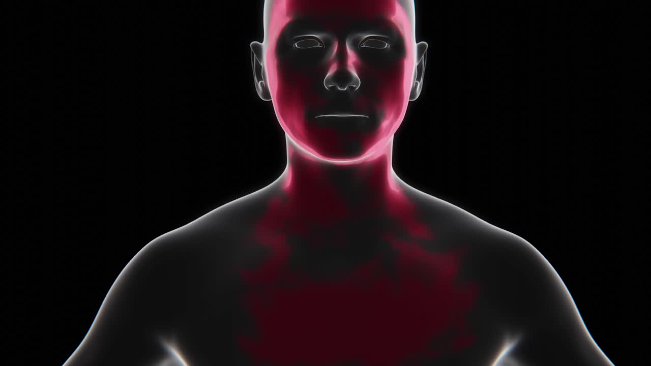 Partes do corpo afetadas pela Vancomicina em Vídeo de Raio-X 4K | Indicação de Vancomicina em Vídeo de Raio-X 4K | Vancomicina