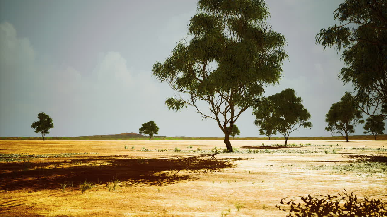 Expansive landscape with sparse trees and dry terrain under a clear sky