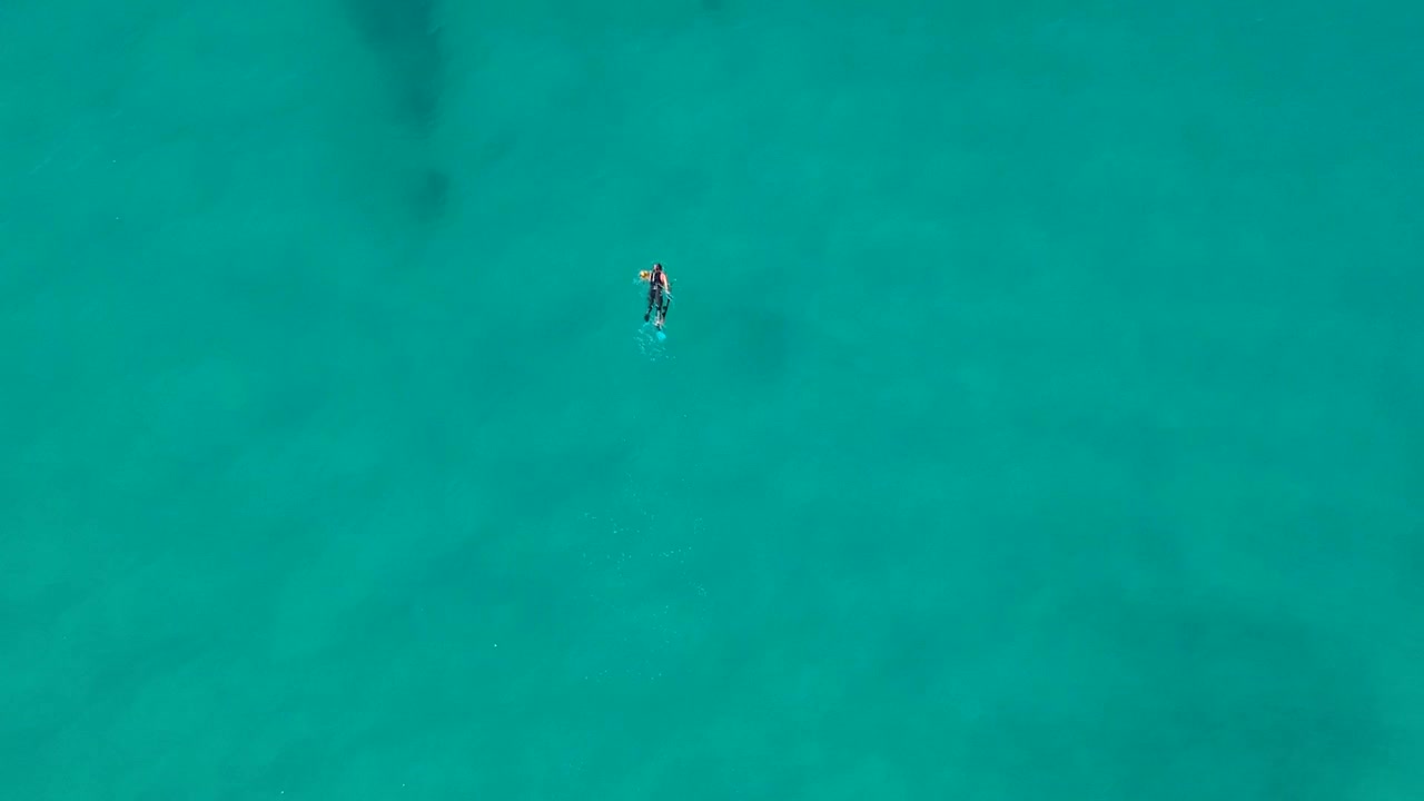 A person spearfishing above an artificial reef hunting for fish using a spear gun