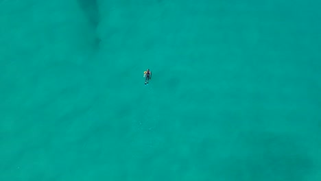 Una-Persona-Pescando-Con-Arpón-Sobre-Un-Arrecife-Artificial-Cazando-Peces-Usando-Un-Fusil-De-Arpón