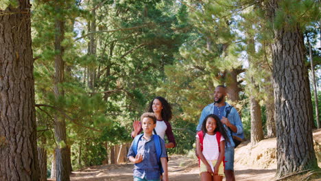 family on hiking adventure walking along path through woods