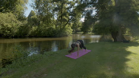 young woman doing upward, downward facing dog yoga exercise