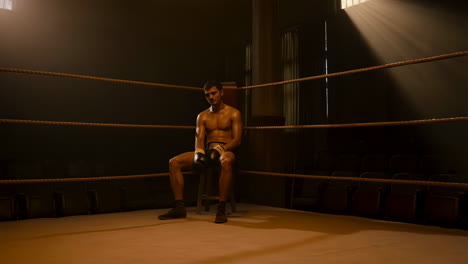 boxer resting in a ring