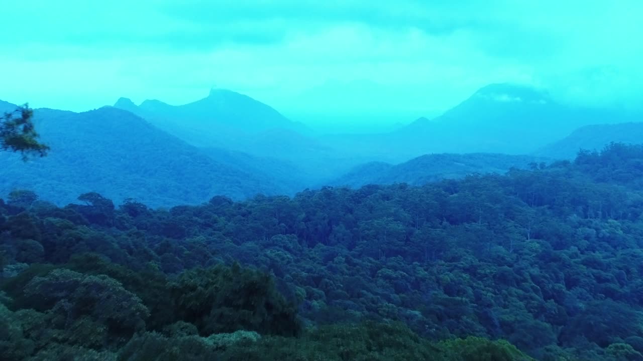 noche volando sobre el bosque brumoso de kerala